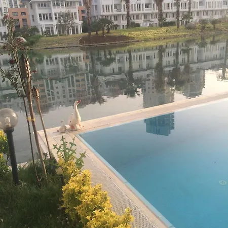 Dream Of Apartment